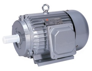 Y_Series_Three_Phase_Asynchronous_Induction_Motor-fill-300x232